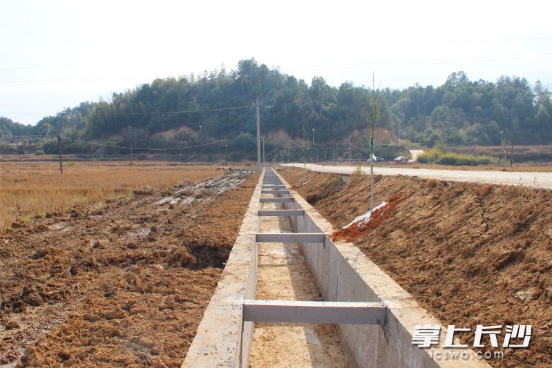 在宁乡市老粮仓镇望江村，小农水项目新建的水渠穿过田间。