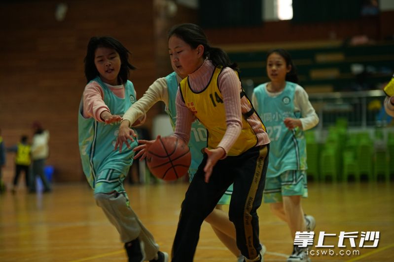 篮球赛正在激烈交锋。长沙晚报通讯员 李毅 摄