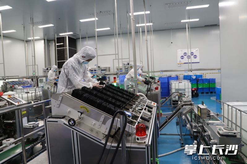 宁乡美妆谷，一家美妆企业的员工正在生产。长沙晚报全媒体记者 周斌 摄