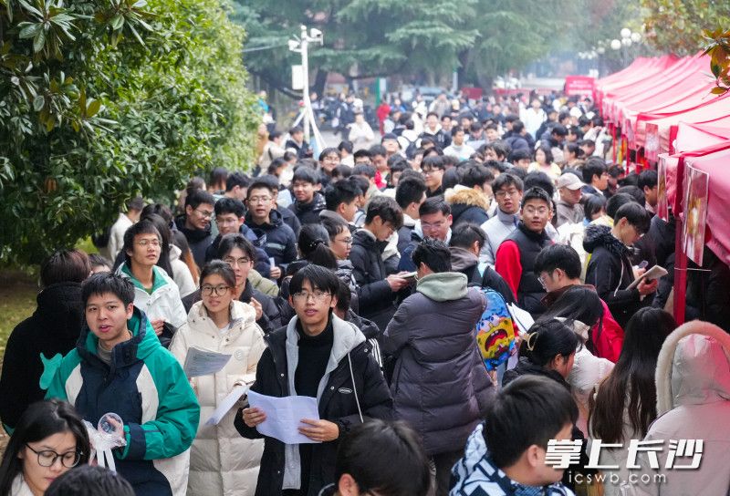 湖南农业大学考点，前来参加研究生考试的考生。均为长沙晚报全媒体记者 邹麟 实习生 苏昱