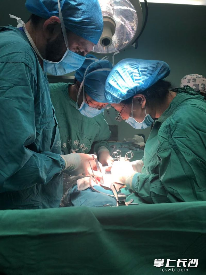 唐洁(右)带领团队正在进行手术。通讯员供图 唐洁(右)带领团队正在进行手术。通讯员供图