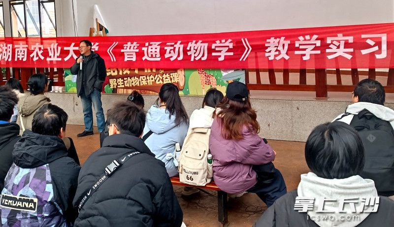 湖南农业大学120多名动物学专业学生在长沙生态动物园开启了为期4天的现场教学实习之旅。园方供图