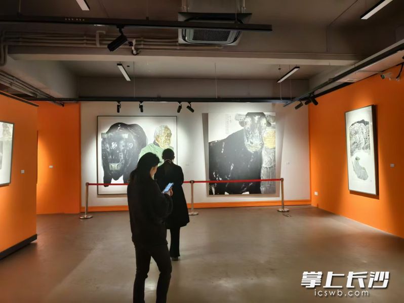现场展出近100幅水墨作品。均为长沙晚报全媒体记者 宁莎鸥 摄