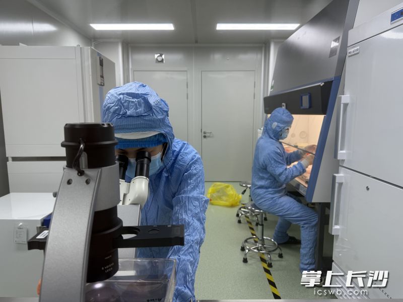 源品生物实验室内，实验人员正在观察干细胞活动情况。