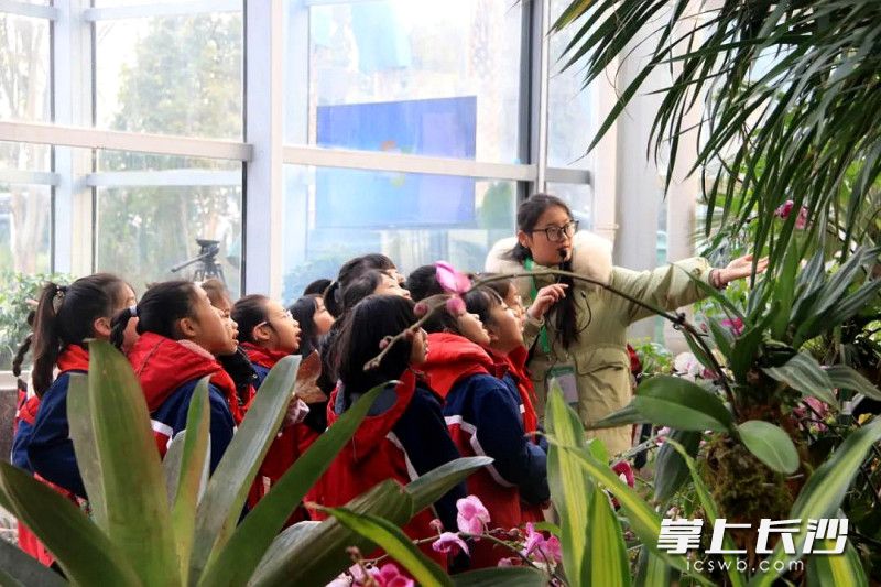 小学生在参观。