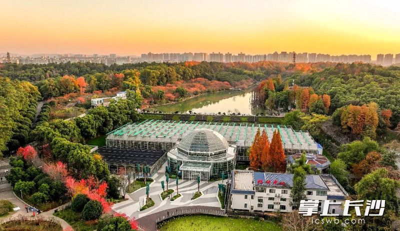 今日，省植物园“天际苑”科研温室展览馆落成并正式对外开放。 均为长沙晚报全媒体记者贺文兵、通讯员朱路摄