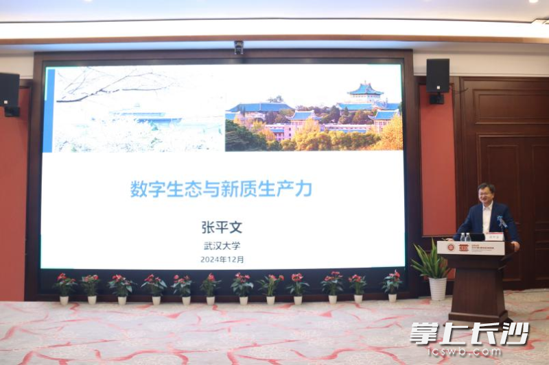 中国科学院院士张平文作“数字生态与新质生产力”专题报告。