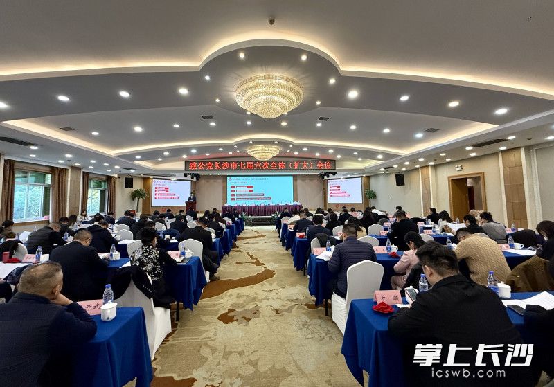 致公党长沙市第七届委员会第六次全体（扩大）会议召开。 长沙晚报通讯员 叶蕾 摄
