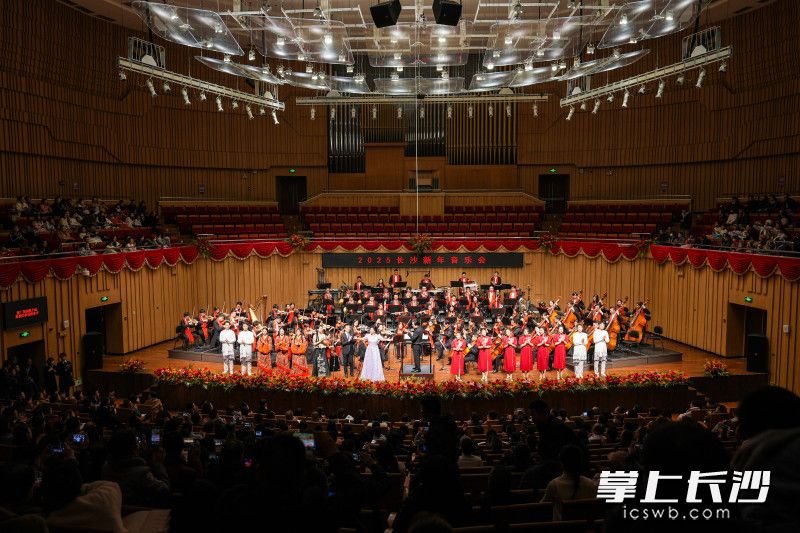 音乐会现场。