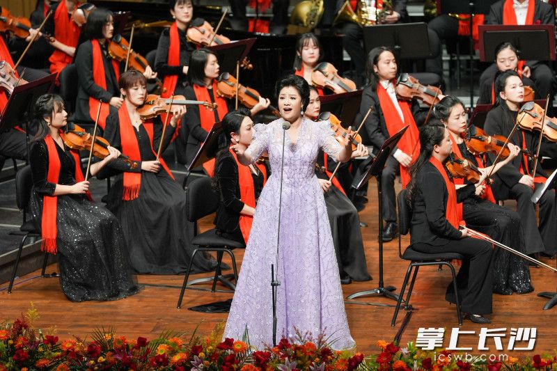 女高音歌唱家王丽达献上女声独唱《在希望的田野上》。