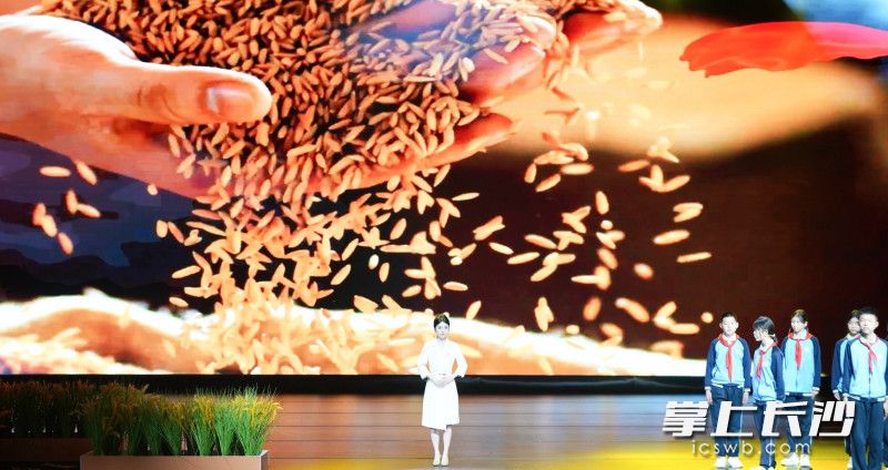 展演活动现场。 展演活动现场。