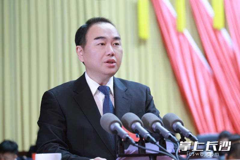 望城区委副书记、区长蔡锋作政府工作报告。望城区供图