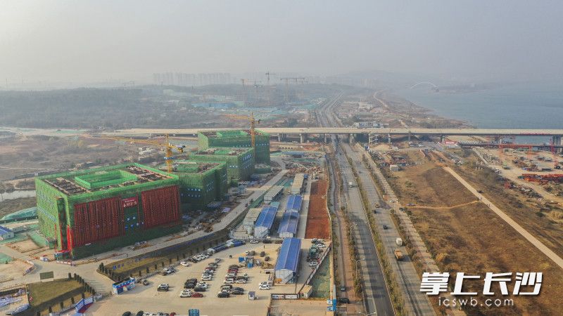 新年第一个工作日，湘江科学城项目建设热火朝天。 均为长沙晚报全媒体记者余劭劼摄