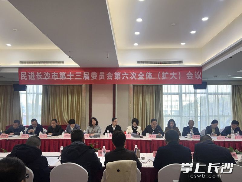 民进长沙市委会十三届六次全体（扩大）会议召开。 长沙晚报全媒体记者 刘俊 摄