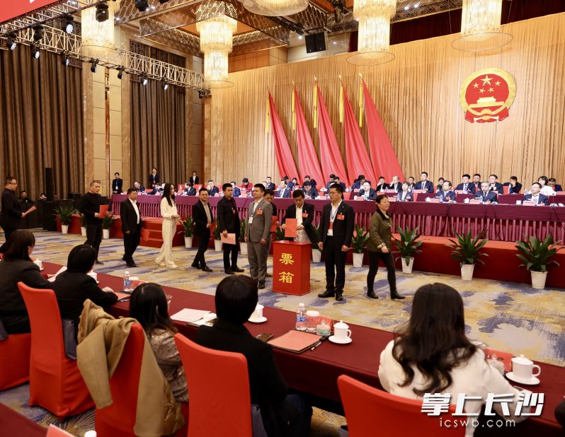 开福区人大代表投票表决2025十大民生实事。 长沙晚报通讯员 胡舸 摄