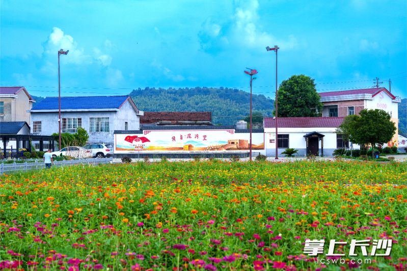 宁乡市回龙铺镇候旨亭社区美景令人陶醉。受访方供图