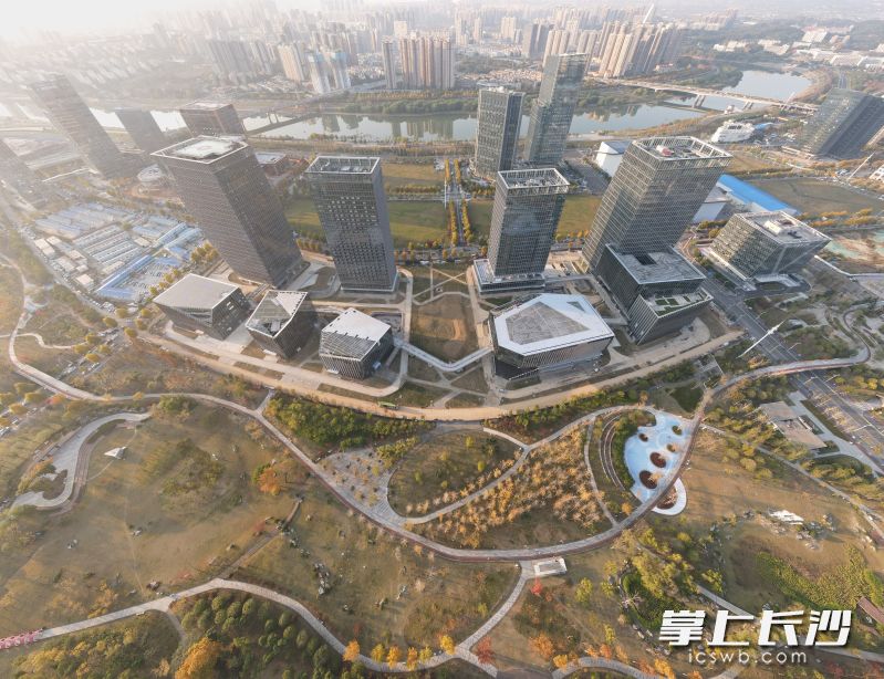 由中建五局总承包公司承建的中南传媒马栏山园区项目竣工，将为湖南出版高质量发展提供强劲引擎。  长沙晚报通讯员 任明敏 供图