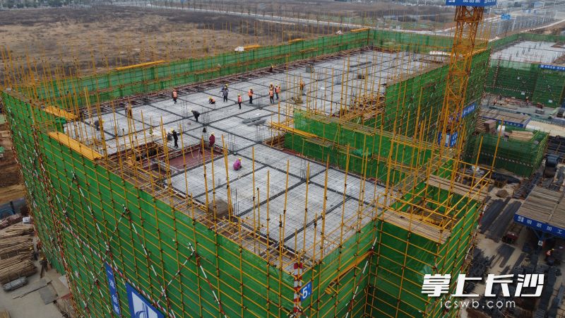 雅礼中学东校区（二期）项目完成地下室结构正负零。 长沙晚报通讯员 李扬帆 供图