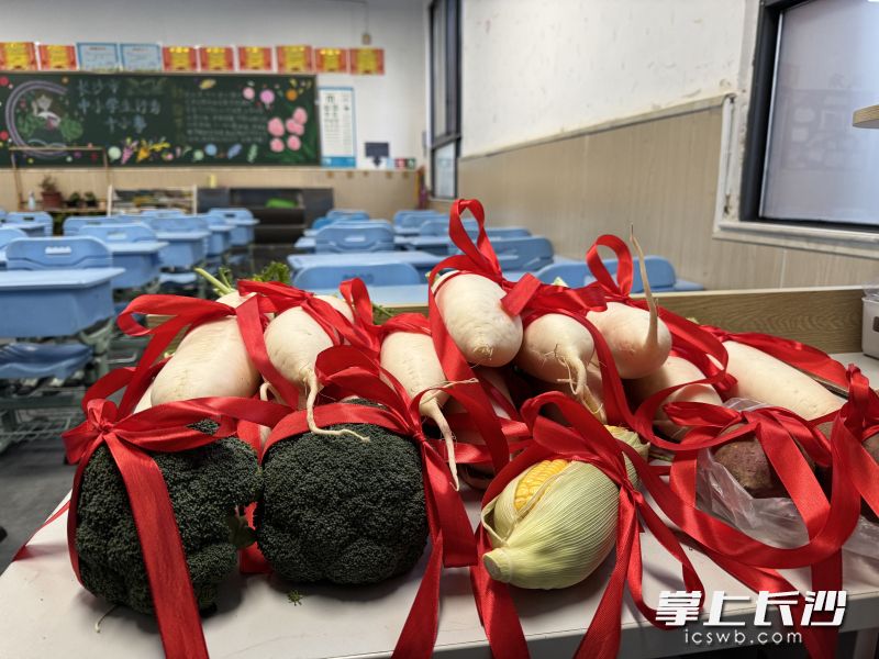 今天的奖品是老师精心准备的萝卜、西兰花等等蔬果。通讯员 盘琼 严丽 摄影报道