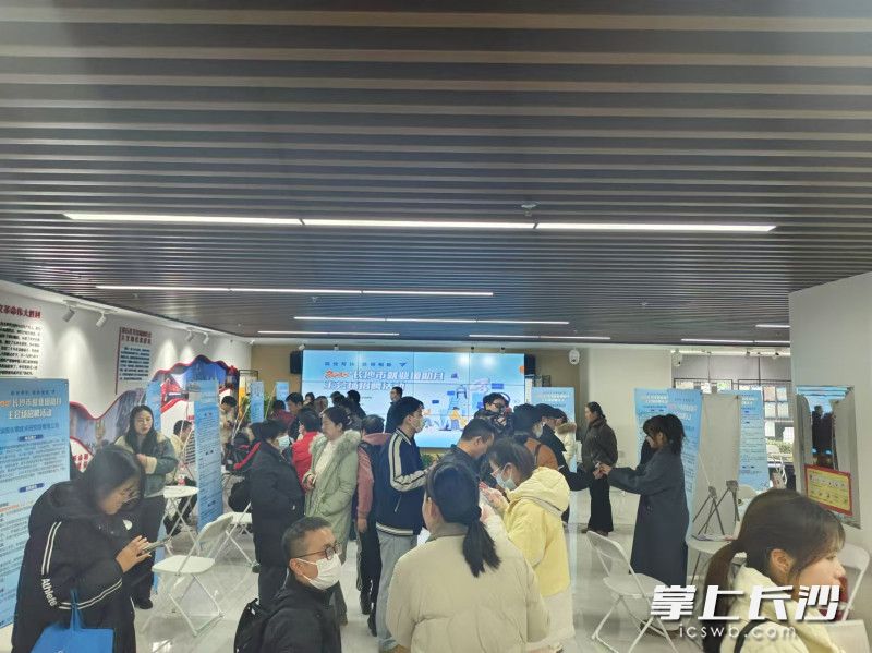 求职者物色自己心仪的岗位。均为通讯员 周宇 摄