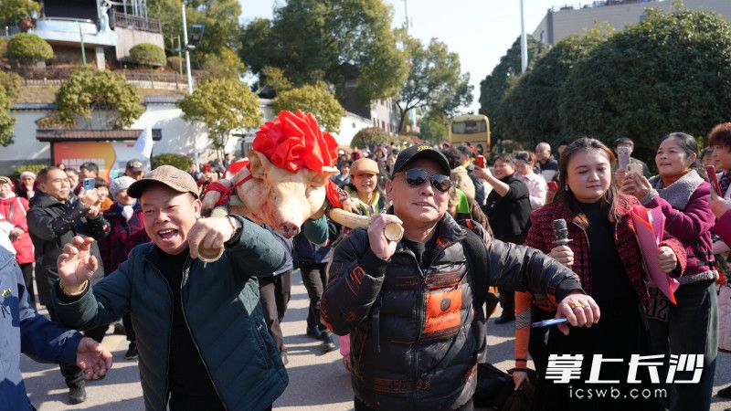 游客在抬年猪沾喜气，尽情体验传统年俗味。均为长沙晚报全媒体记者 贺文兵 摄