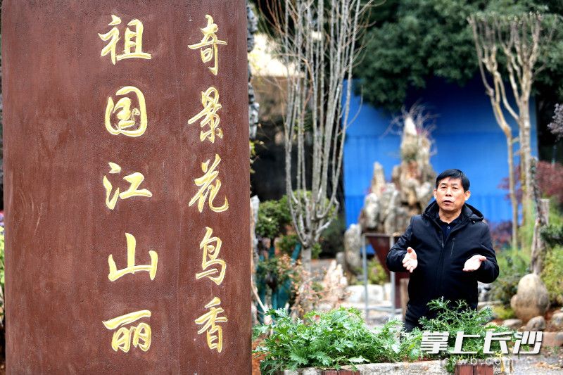 侯建良在自己的“奇景园林”里讲述着自己的创业故事。均为长沙晚报全媒体记者 贺文兵 摄