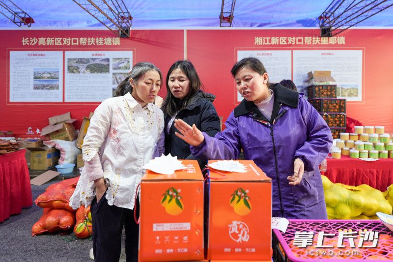 市民在选购龙山黄金贡柚。