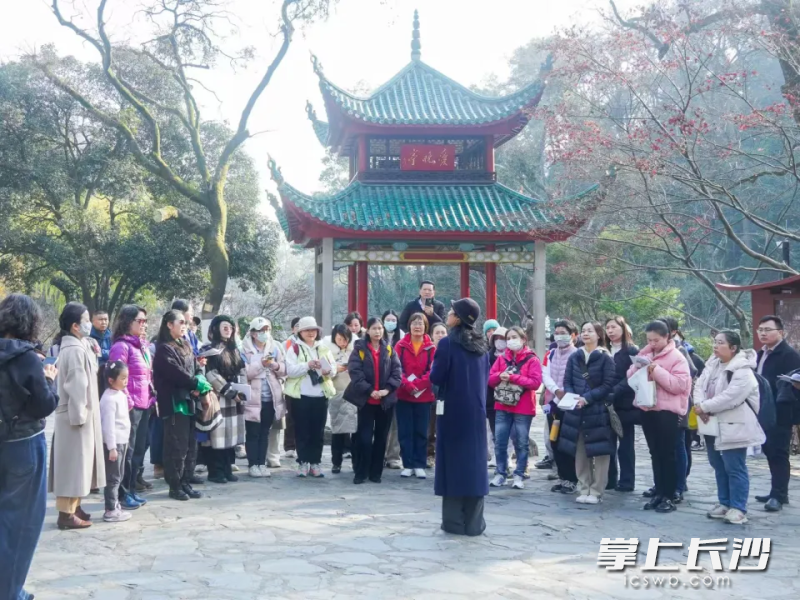 志愿者们在爱晚亭前接受讲解培训。均为长沙晚报全媒体记者 贺文兵 通讯员 孙瑶 摄影报道