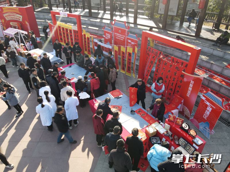 本次活动设有七大特色服务展区。
