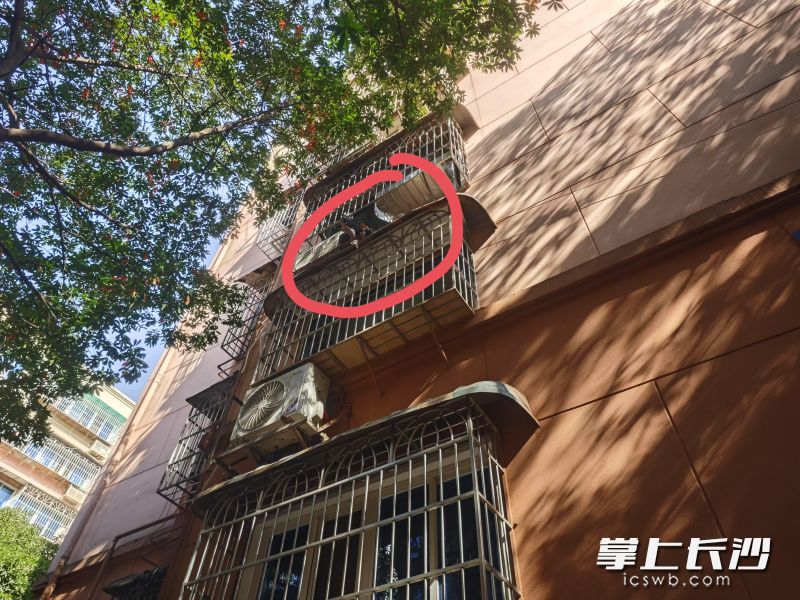 女子在搞卫生时不慎掉到窗台外，正等待救援。长沙晚报通讯员 杨慧 摄