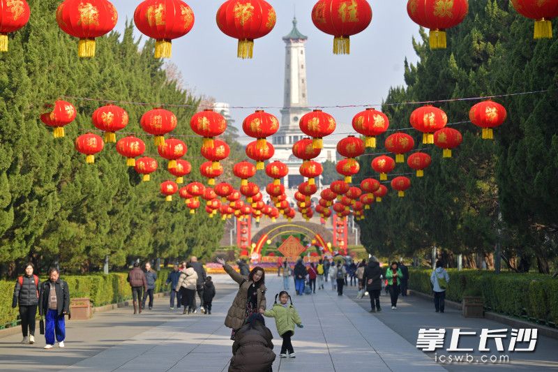 今日上午，湖南烈士公园南门，大红灯笼高挂，市民游客在灯笼下开心拍照。 均为长沙晚报全媒体记者 王志伟 实习生 罗新月 摄影报道