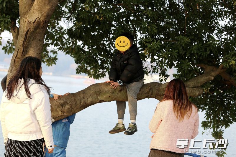 一名小孩爬上了年嘉湖边上的一棵树上。均为长沙晚报全媒体记者贺文兵摄