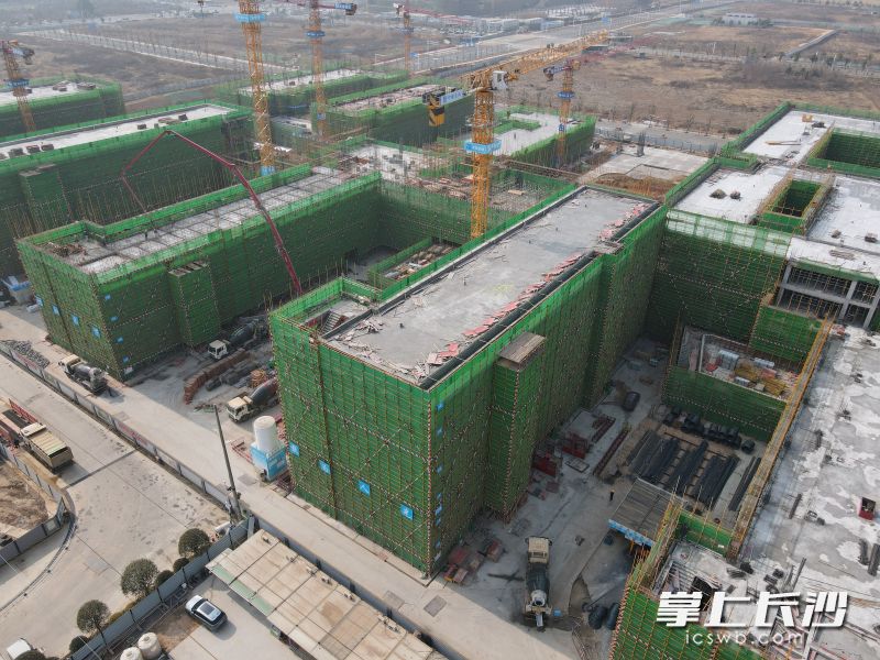 雅礼中学东校区（二期）项目北区主体结构封顶。 长沙晚报通讯员 刘焕琼 供图