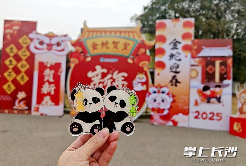 萌宠登场，长沙生态动物园首家文创店亮相。均为长沙晚报全媒体记者贺文兵摄
