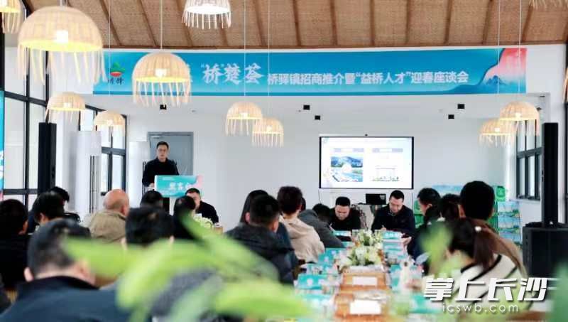 望城桥驿镇召开“雁归巢 桥楚荟”招商推介暨“益桥人才”迎春座谈会。均为桥驿镇供图