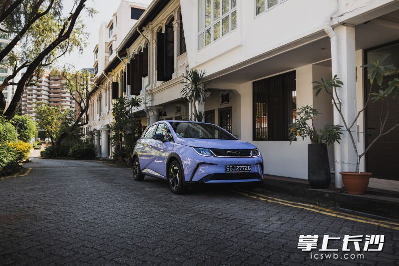 新加坡街头的比亚迪轿车。 比亚迪供图