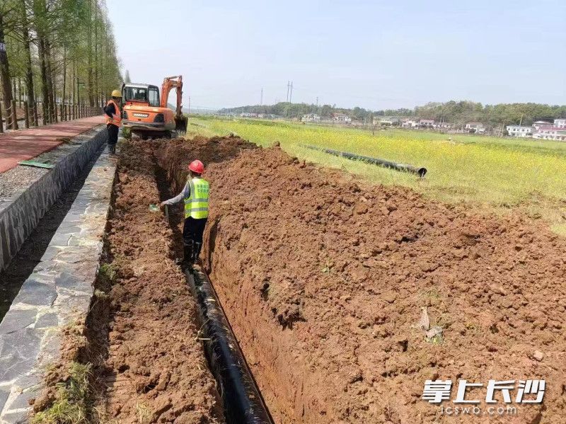 农业用水管道取代传统灌溉沟渠，既高效又节省。长沙晚报通讯员 廖国君 供图