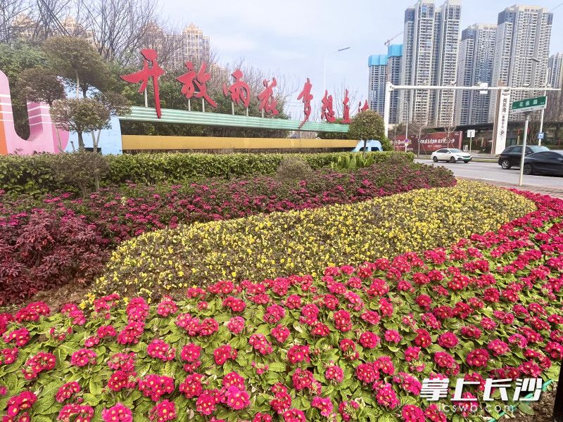 雨花区大街小巷纷纷“妆点”起来，各式花卉和喜庆漂亮的装饰摆件，为城市披上了节日盛装。