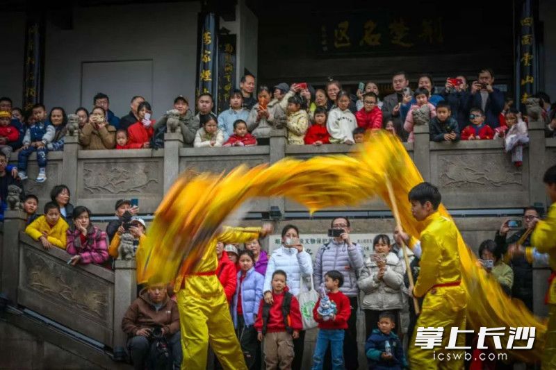 舞龙表演。 均为长沙晚报全媒体记者吴颖姝供图
