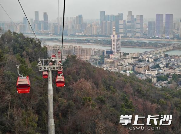 索道俯瞰。均为景区供图