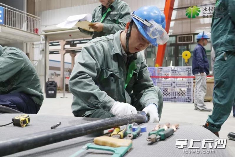 望城经开区铜官工业片区内生产忙。  通讯员供图