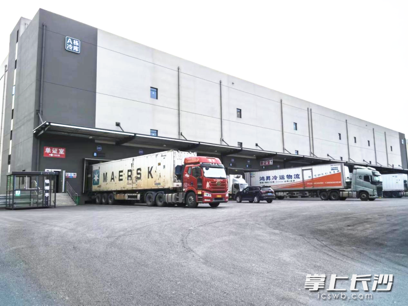 普鑫智慧冷链物流产业园也已全面复工。 普鑫智慧冷链物流产业园也已全面复工。