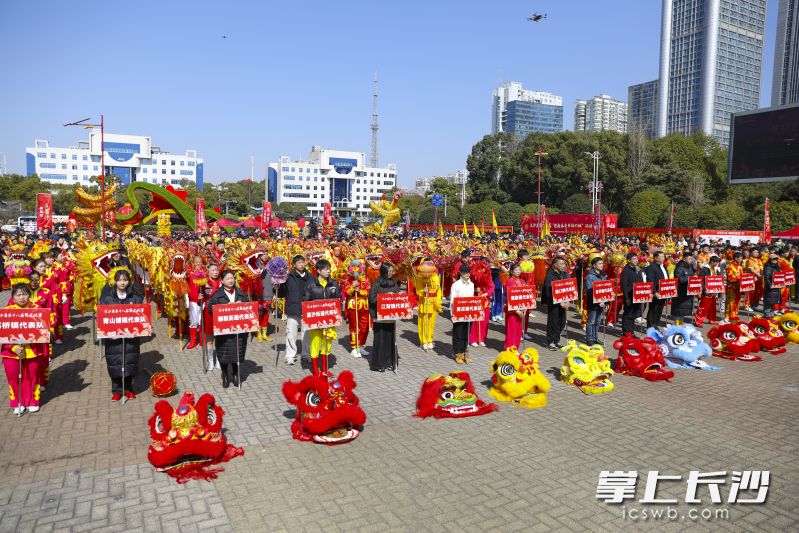 活动现场。均为主办方供图