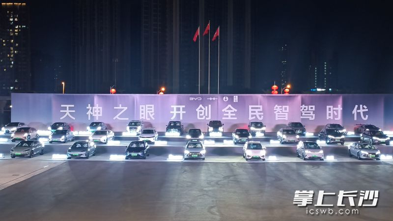 比亚迪全系车型搭载天神之眼高阶智驾。 长沙晚报全媒体记者 曹开阳 摄