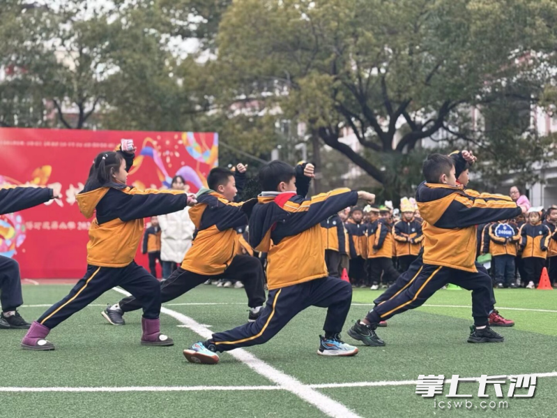 几名同学在进行中华武术表演。