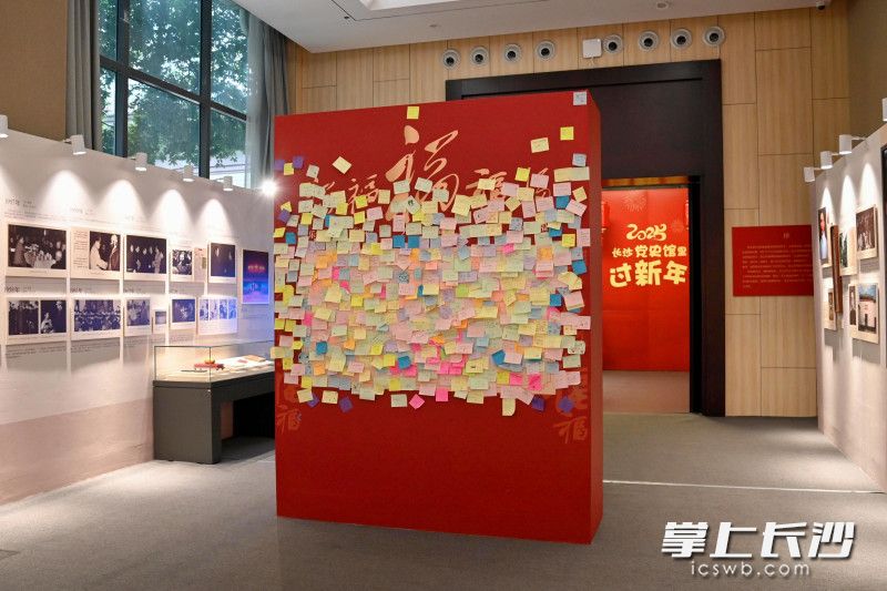 展馆现场。 均为长沙晚报通讯员傅力兴供图