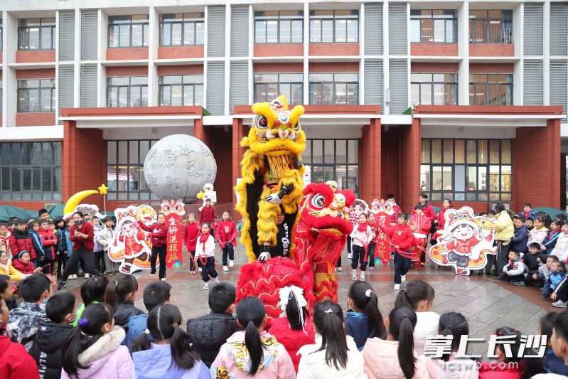今日万境小学跟学生们一起来上学的，还有两只金狮。长沙晚报通讯员 王仲野 石筱需 摄影报道