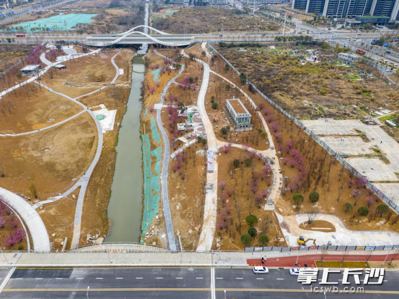 中央公园北段（一期）建设现场。