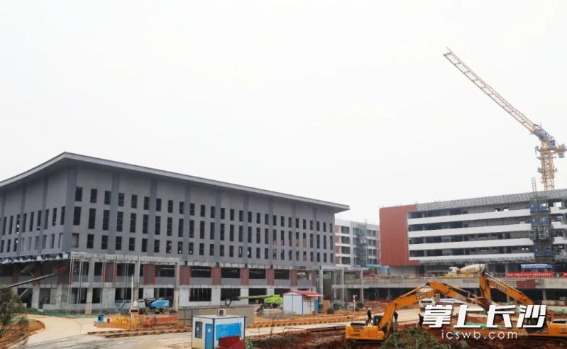 长沙市一中（湘江科学城校区）项目施工现场。