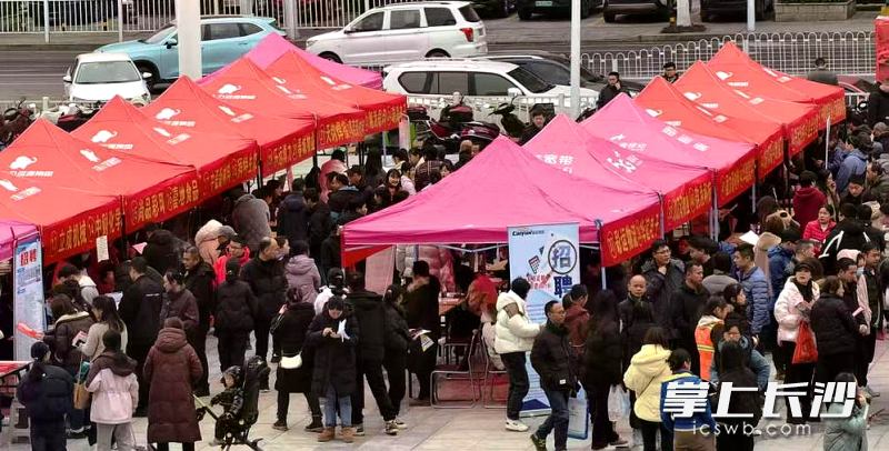 连日来，宁乡抢抓招聘就业黄金期时段，将“职通车”开进市民“家门口”。 通讯员供图